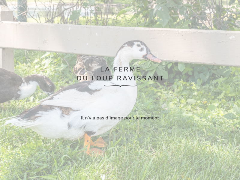 OUVERTURE MERCREDI 31 de 9h à 12h30