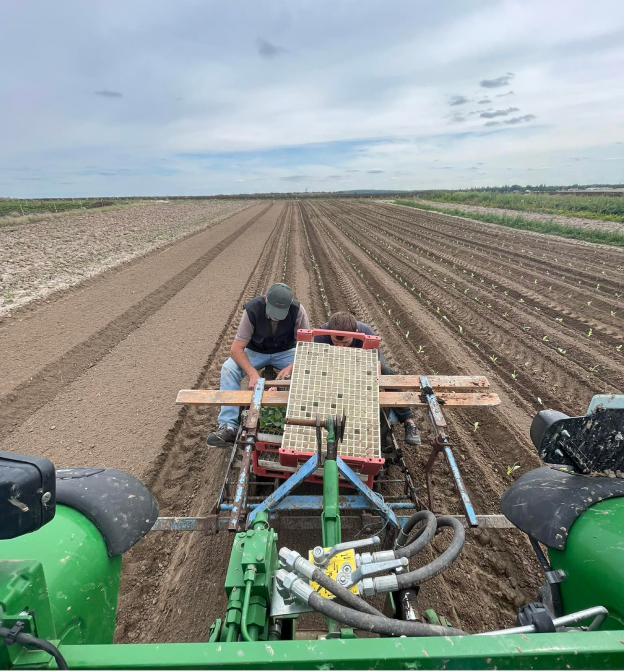 Légumes de saison cultivés et en vente directe à la fermeet et en circuit court